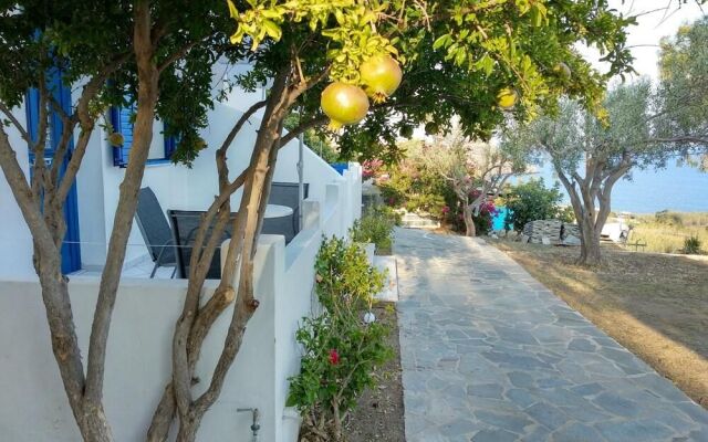 Litus Studios Syros