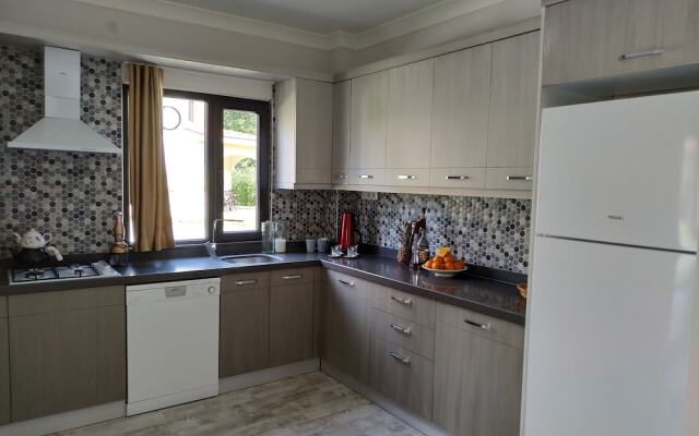 Sapanca Villa Natura Gol Evi