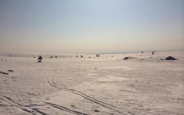 Pellestova Apartments