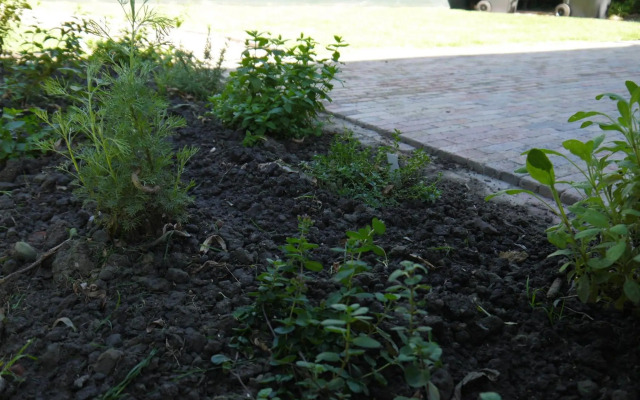 Vakantiehuis Hof Molenzicht