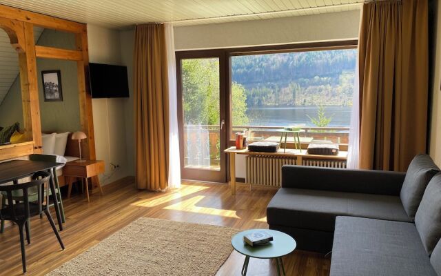 black forest apartments titisee