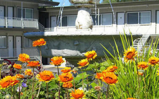 Comox Valley Inn & Suites