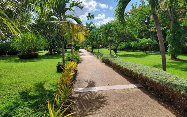 Welcome to our Oasis The Beautiful Bungalow Yellow