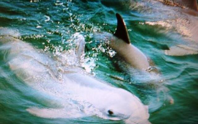 Seapines 593 Wildwood spa