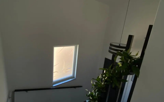 Penthouses Panorama