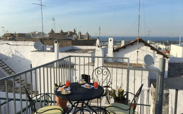 Under the Cherry Moon