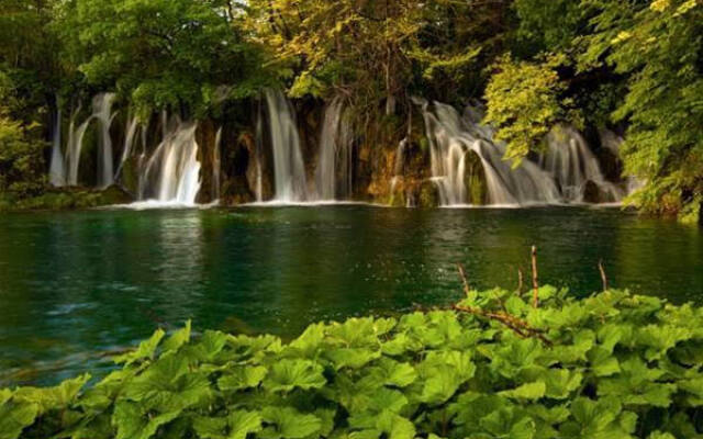 Apartments Brajkovic