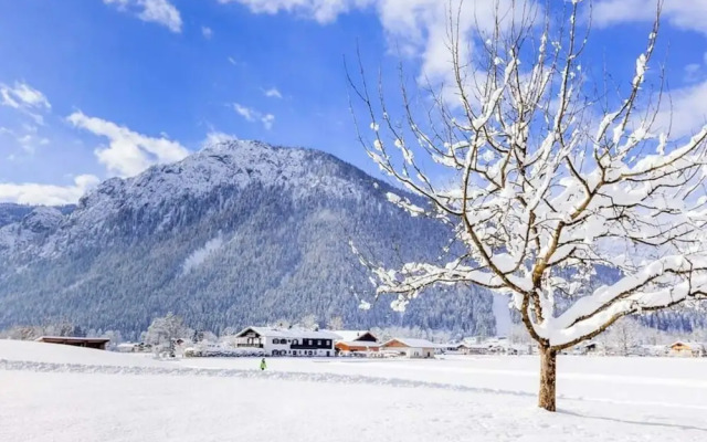 Rooster 2 -kierngasshausl-