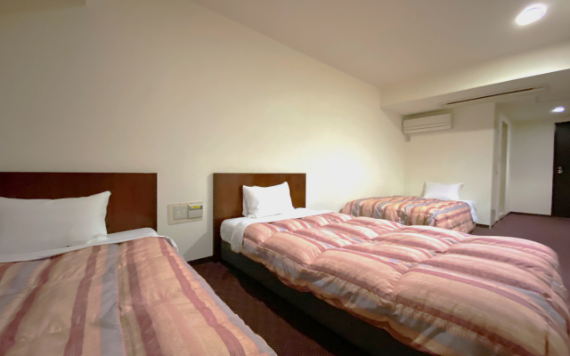 Shizuoka Castle Hotel Sanoharu