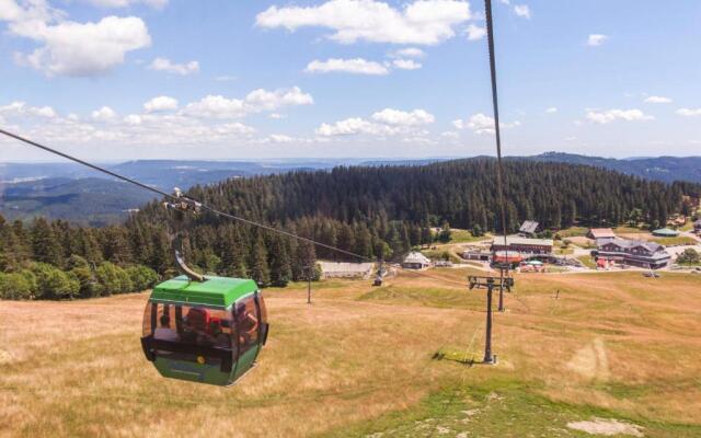 FeWo Seeblick Nr 2 - 5 Zimmerwohnung - Feldberg Bärental