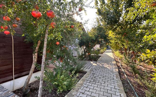 Olimpos Vadi Houses