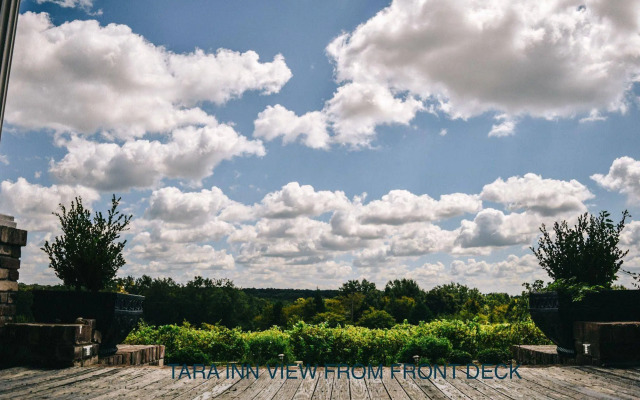 Tara Vineyard And Winery
