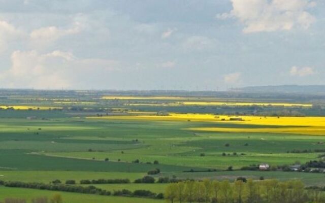 Bear Lodge - Glamping