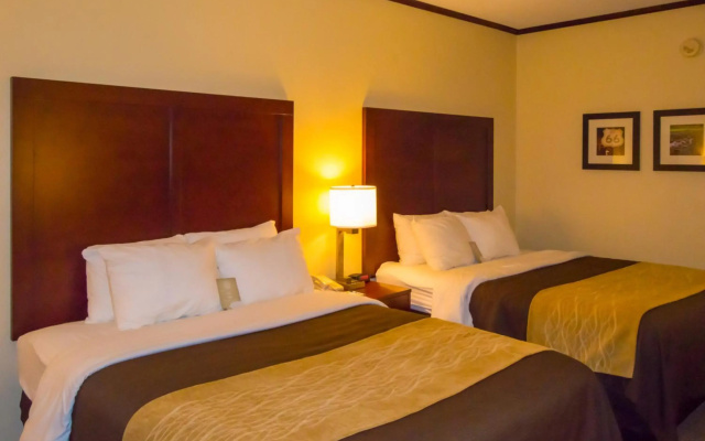 Ardmore Inn & Suites - фото 4