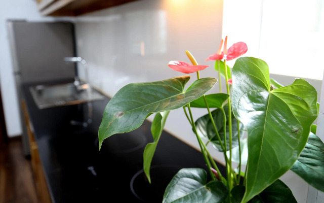 Sumitomo luxury apartment hotel near Lotte