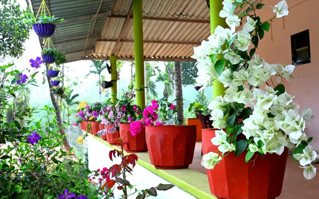 CoffeeInn Homestay