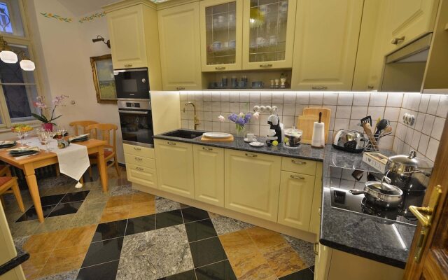 Luxurious Apartment Near River in Cezch Republic