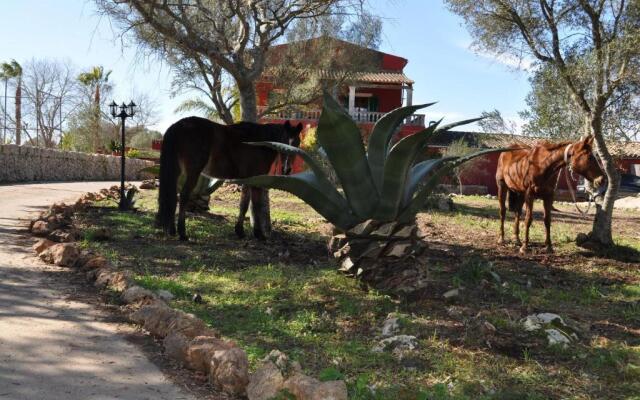 Finca Son Amora vell