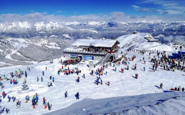 Apartments Bergblick