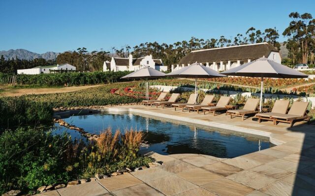 Rijks Wine Estate and Hotel - Adults Only