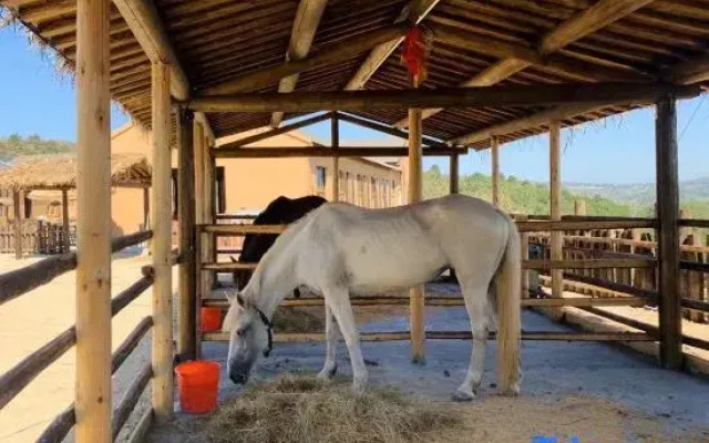 The Homecoming Valley