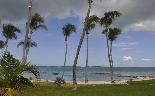 Hammock Heaven by Living Easy Abaco