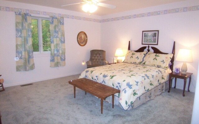 Tree Top Bed & Breakfast