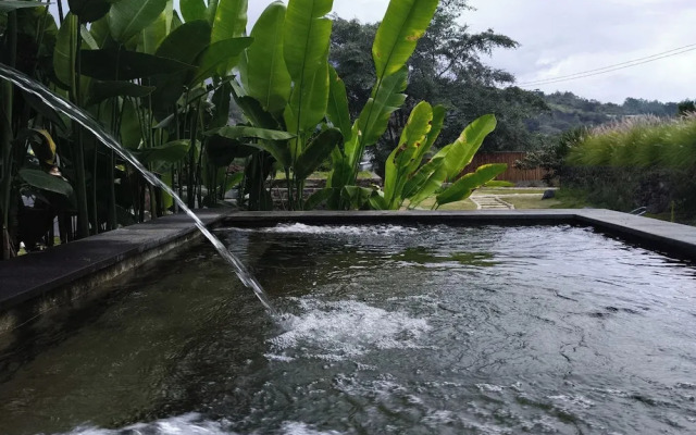 Onion Garden And Natural Hotspring