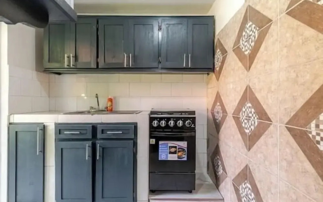 Insight Studio at Csompo Silver Manor