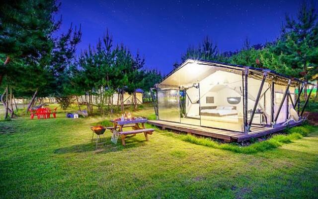 seocheon paintree glamping