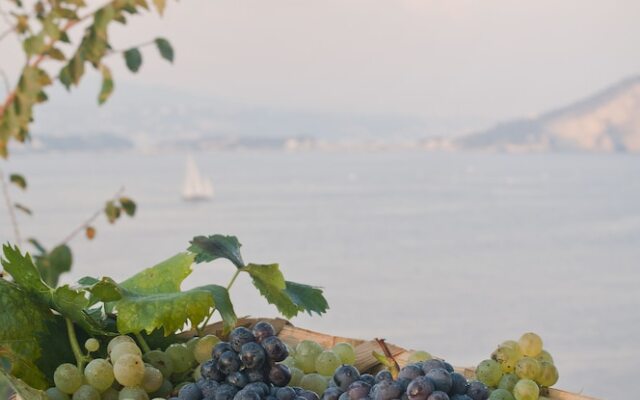 La Vigna
