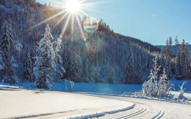 Apartment in Oberwolz Near Ski Slope