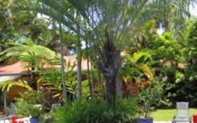 Pink Flamingo Resort