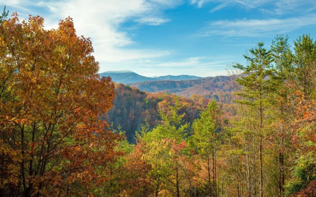 534mtntopviewspncb - Mountain Top View