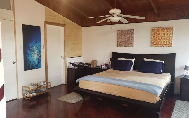 Better Life Suites & Studio