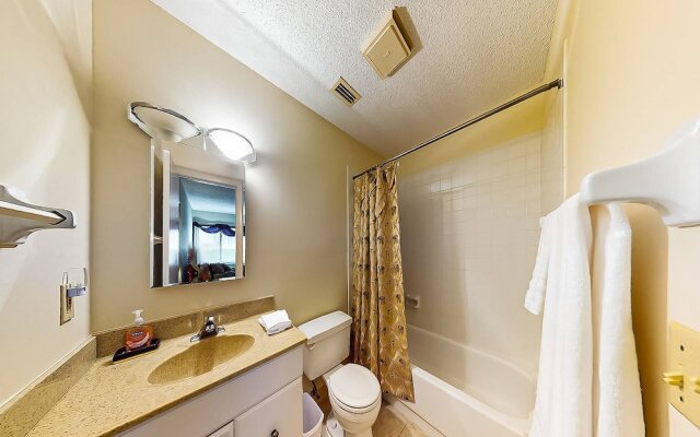 White Sands Near the Beach