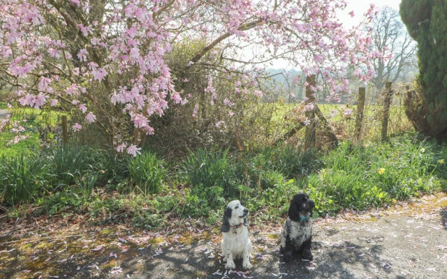 Carreg Cennen Cottage