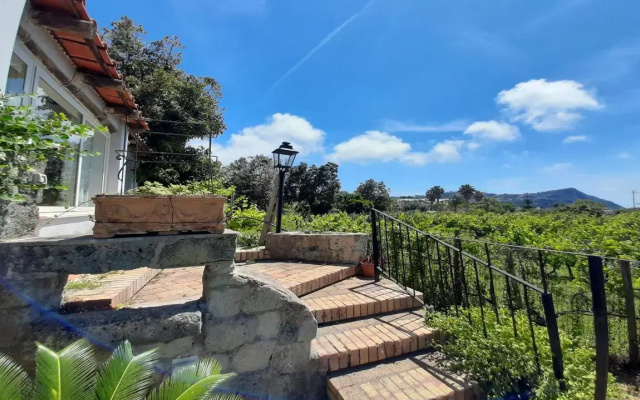 Agriturismo Il Vitigno
