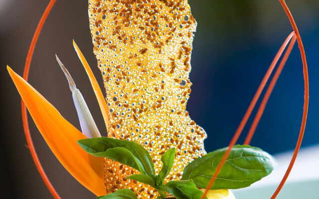 Hotel San Agustin Beach Club