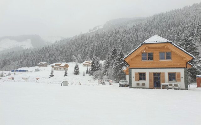 Bright Holiday Home in Donnersbachwald Styria With Sauna