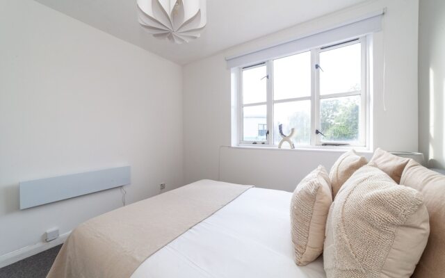 The Camden Road Collection