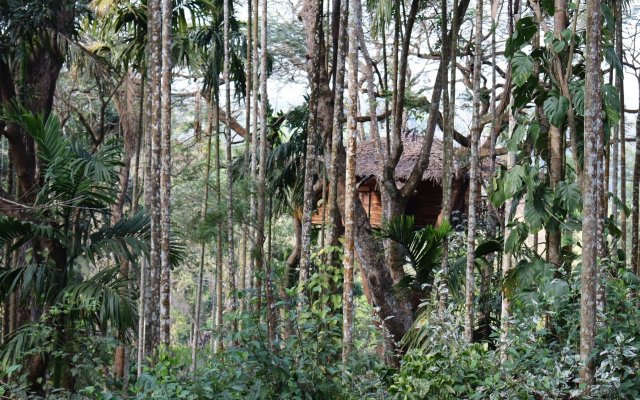 Tranquil Resort Wayanad