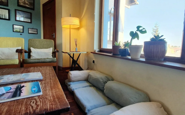 Salty Jackal Surf Camp