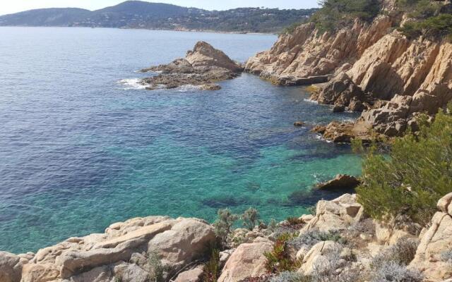 65 Rue Pierre Rameil Appartement