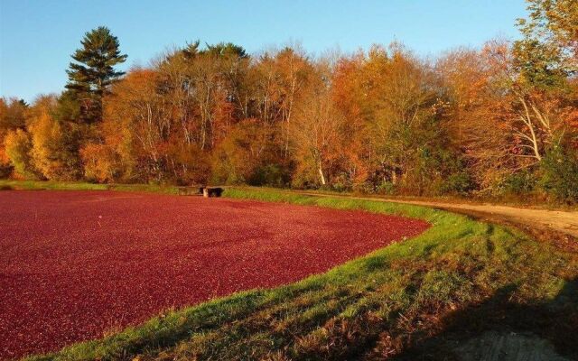 On Cranberry Pond B&B