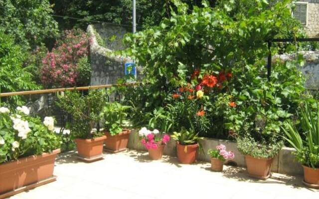 House Boninovo - Adults Only