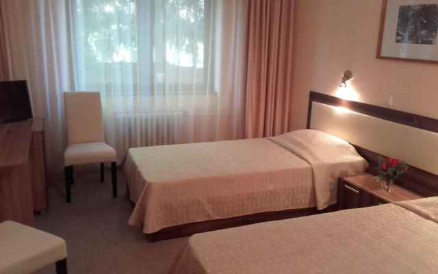 Hotel Bor
