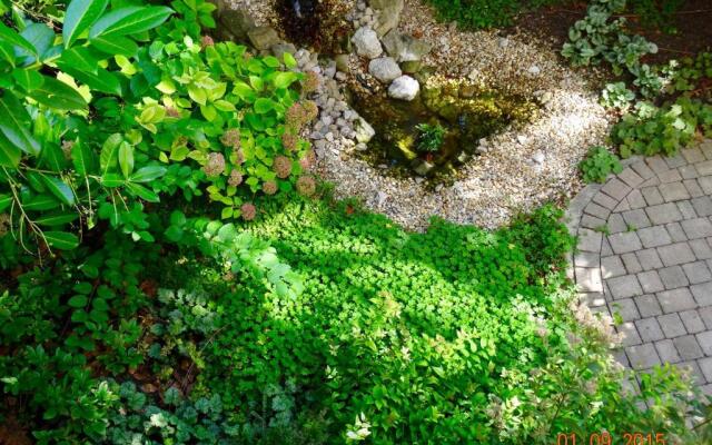 Sonnberg Design Apartments