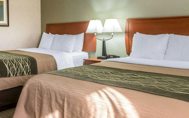 Comfort Inn Near Greenfield Village