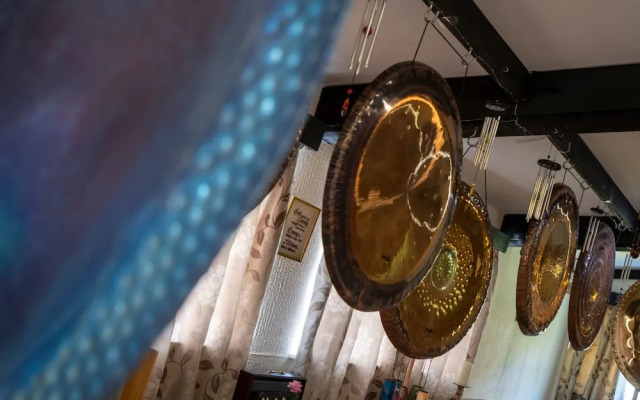 Poppy at Gorslwyd - Sound Retreat